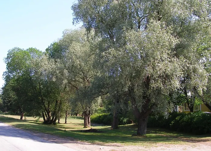 Casa de Férias Rannamaja *